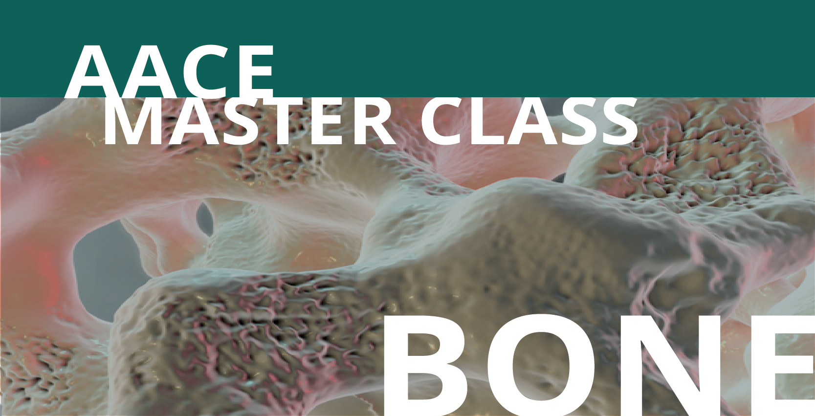 bone banner