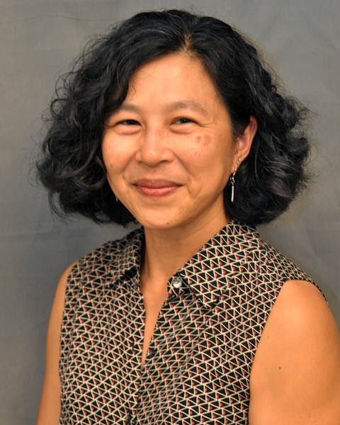 Cecilia C. Low Wang, MD, FACP, Chair, AACE Disease State Network Diabetes