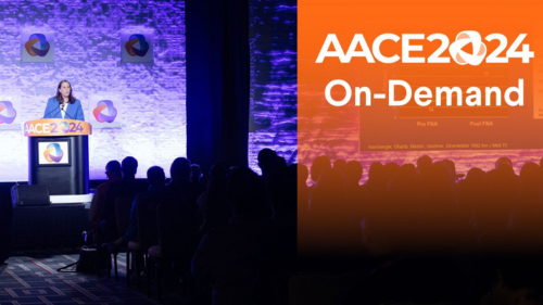 AACE Annual Meeting 2024 On Demand