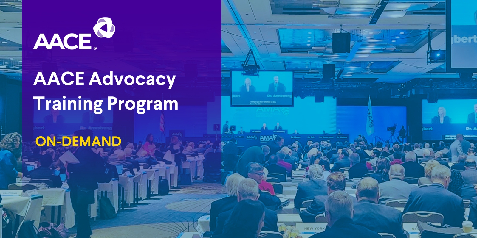 AACE Advocacy Training Program