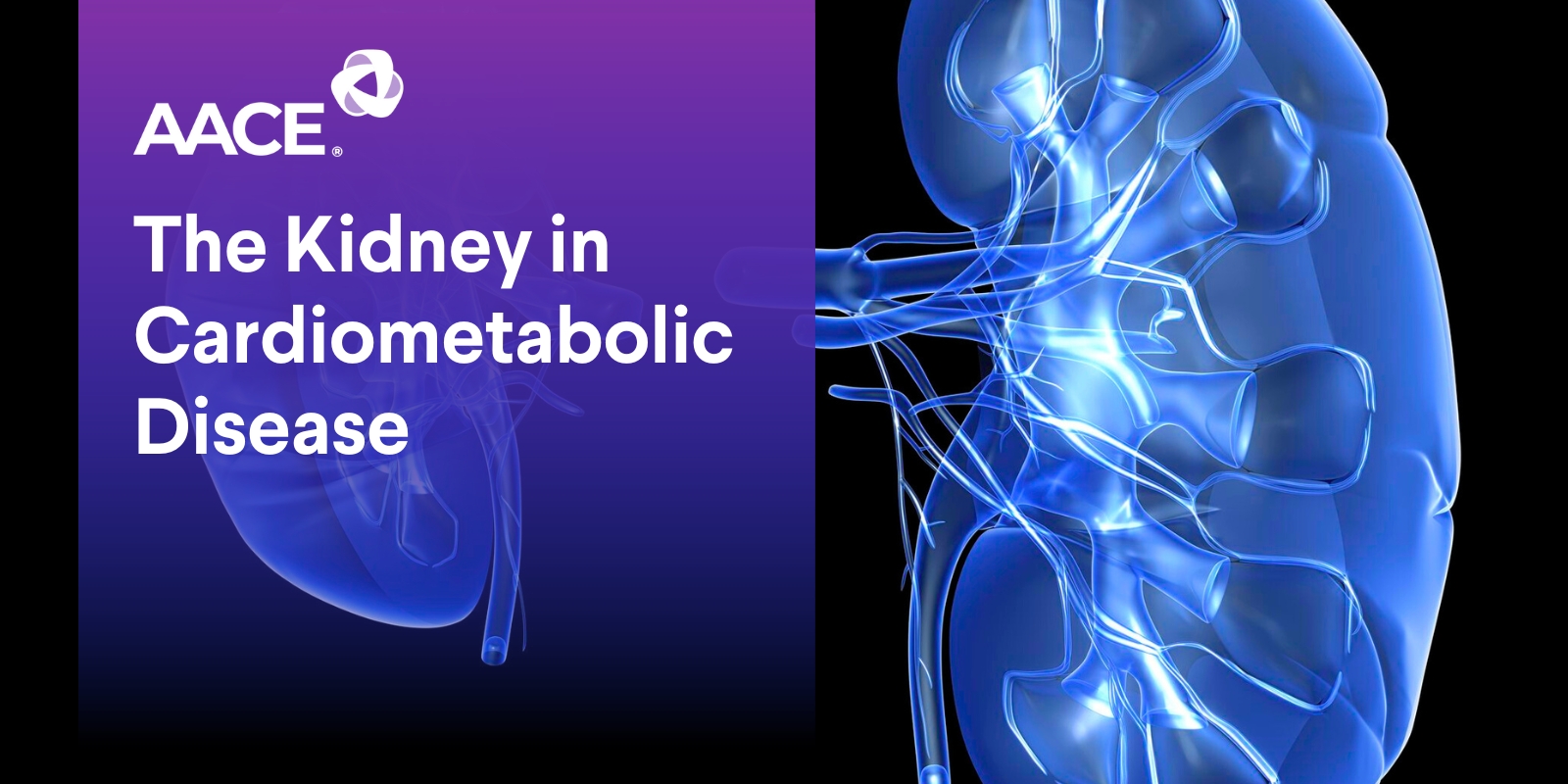 The Kidney in Cardiometabolic Diseases