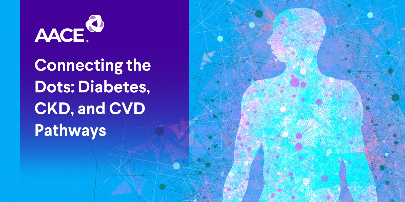 Connecting the Dots: Diabetes, CKD, and CVD Pathways