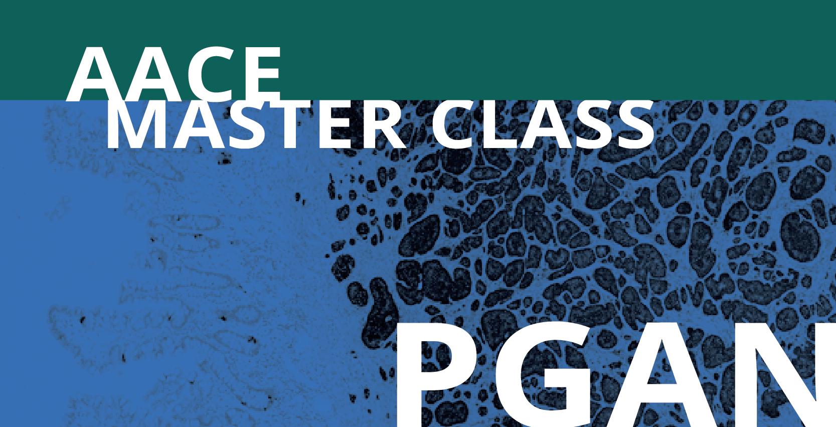 PGAN Banner