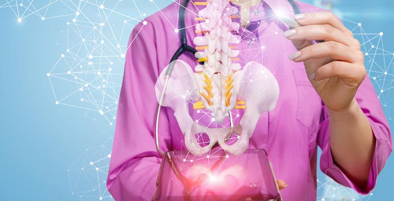 doctor analyzing bone simulation
